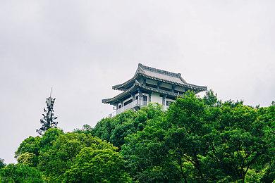 本周Fami通游戏评分出炉 《信长之野望：新生》斩获37分白金殿堂